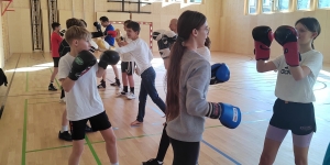 Schwerpunkt Sport: Boxen mit den Profis